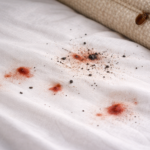 bed bug droppings
